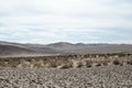 View to the desert, mountains, grass and saline Ã¢â¬â beauty of na